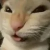 bomuheheheheheh