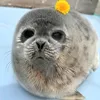 SealKei