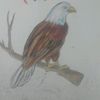 user9501723100485