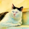 4catsandme5
