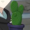 choki.the.cactus