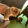 aisha_223maligo