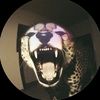 nicole_the.coin