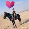 user8540690121188