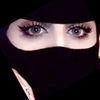 sssha_1l