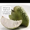 ppinire.gaza