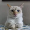 nanulin89