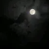 محمد💠