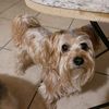 chucho5573