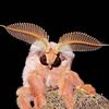 moth_on_window