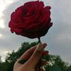 mar_am_94
