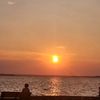 savannah_1775