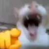 Jackywise1