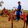 ashokkumarkumr54gmail.co