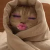 _lovtta_