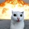 beanboozler67