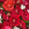 mahasheikh078