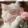 samiyamisti5
