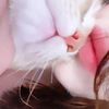 slf.com4