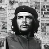 guevara.fidel.cas