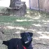 enricoenge2