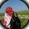 dlnaz231