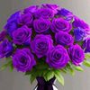 asmita.sunar2356