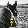 user5608349113146