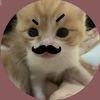 yapping.abtmycrush