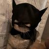 ziaaw113