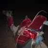 user8568206114803