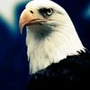 abdul.fataw292