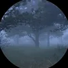 alpha_boy53