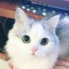 meowmeow0281