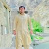 selab.shinwari78