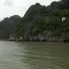 ngccc333