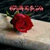 user4652351912500
