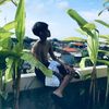 noturtjj