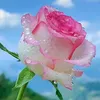 thiendao20_10