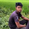 ranaislam3393