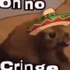 speedsterzz9000