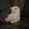fatemeh3941