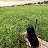 nam.khing135