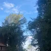 clearlynotmusketguy