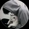 qwq928