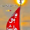 syed.kazmi6587