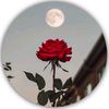 mrfarman082