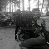 ahmad.gulo36