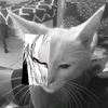 katirrtiir