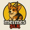 memesSLR